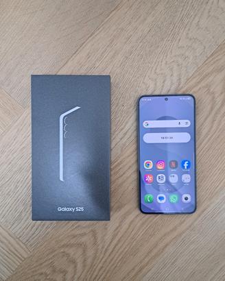 Samsung Galaxy S25 256GB 