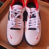 Sneakers Skateboard Bianche Nike SB Ishod Wair PRM