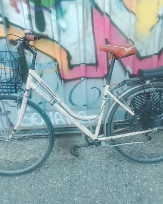 Bicicletta da donna