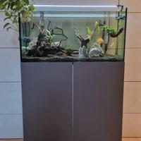 Acquario completo