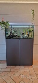 Acquario completo
