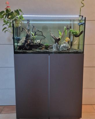 Acquario completo