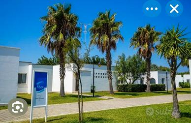 Appartamento a torre rinalda agosto