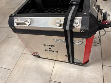 Bauletto top case portacane per BMW GS ADV
