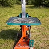 spaccalegna idraulico verticale