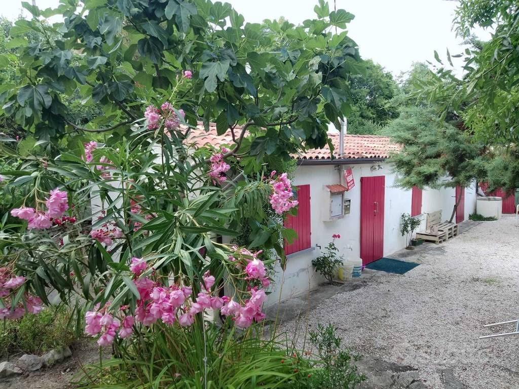 Casa – Sogliano al Rubicone, Vignola - Vista 2