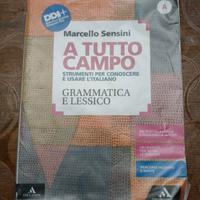 marcello sensini gramatica e lessico