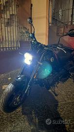 Benelli leoncino 500