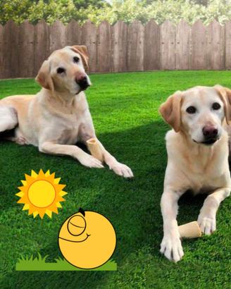 erba sintetica super resistente su misura 