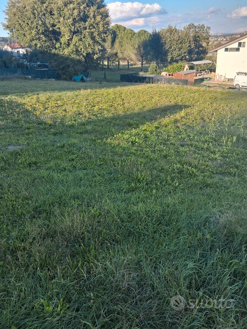 Terreno edificabile Castiglione della Valle - Vista 4