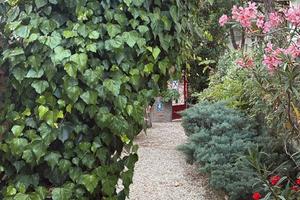 Cesenatico agosto settembre in Villa con giardino