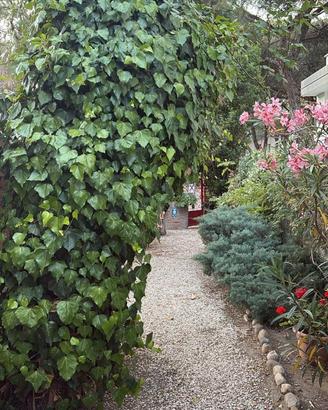 Cesenatico agosto settembre in Villa con giardino