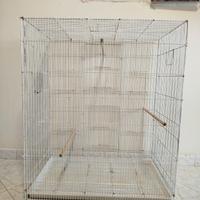 voliera per pappagalli 