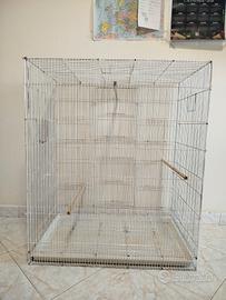 voliera per pappagalli 