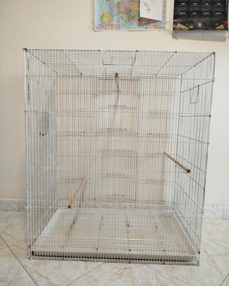 voliera per pappagalli 