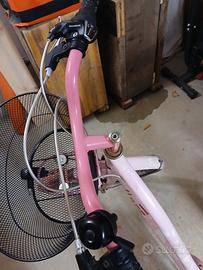 bici rosa