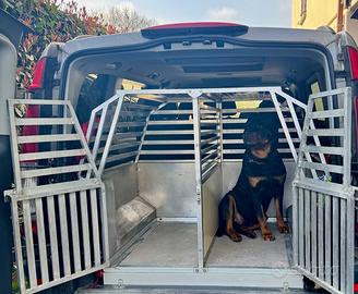 Trasportino doppio per cani
