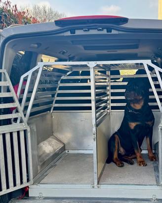 Trasportino doppio per cani