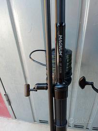 Canne carpfishing 10 piedi 
