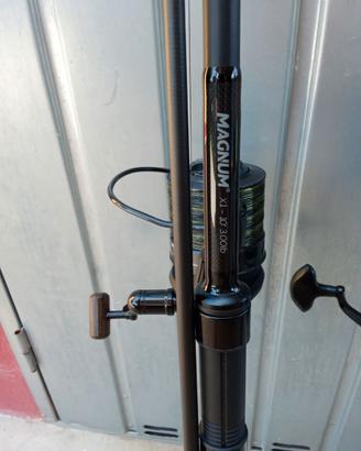 Canne carpfishing 10 piedi 