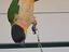 Immagine 3