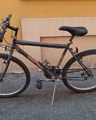 Mountain bike