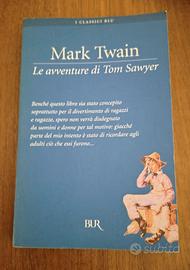 Le avventure di Tom Sawyer 