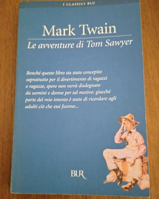 Le avventure di Tom Sawyer 