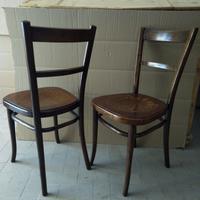 Sedie marchio Thonet