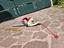 Immagine 6