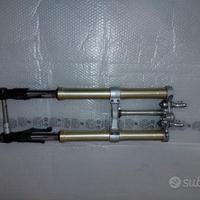Forcella anteriore triumph street triple 675