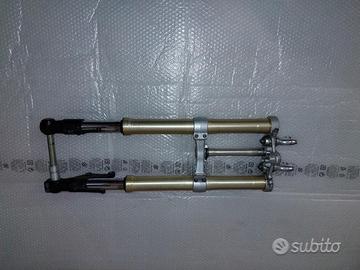 Forcella anteriore triumph street triple 675