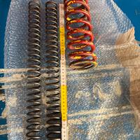 Molle forcella e mono ktm