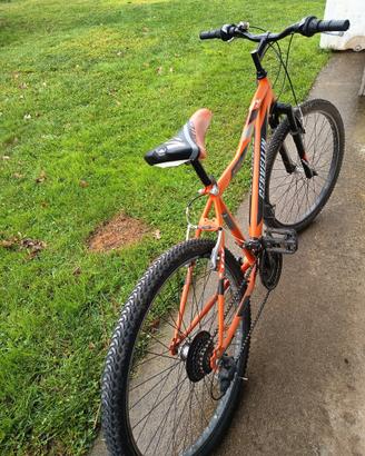 Mountain bike