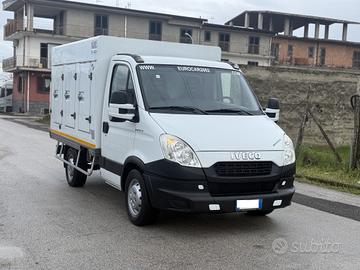 Daily 35s13 trasp gelati coldcar rrax - rrcx 2029