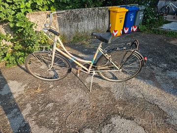 bicicletta da donna isata
