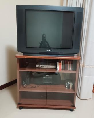 Mobile tv