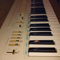 Tastiera Yamaha PS-20