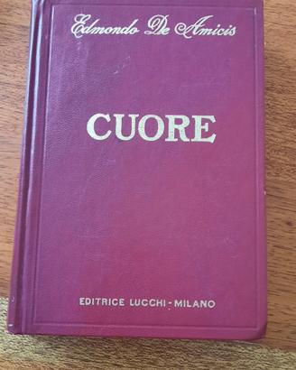 libro cuore