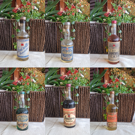 Mignon P.P. Benedettini