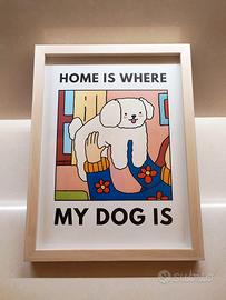 Quadro cornice 30x40 + poster barboncino maltipoo