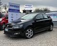 volkswagen-polo-1-6-tdi-90cv-dpf-5-porte-comfortli