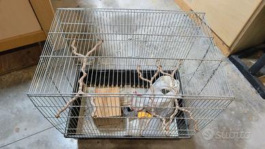 gabbia per animali-volatili-uccelli