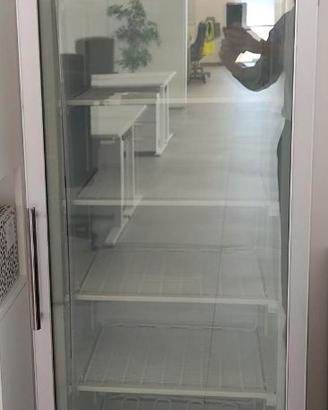 Freezer Forcar