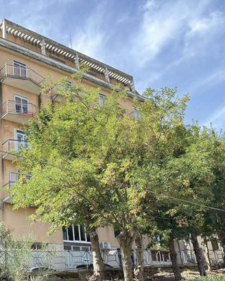 Appartamento - Petralia Sottana