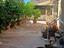 Immagine 10
