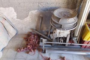 Attrezzatura da pesca