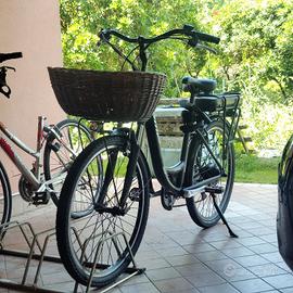 Bicicletta Elettrica 