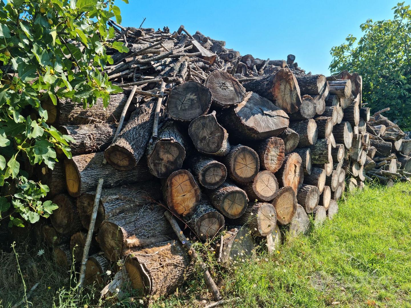 Vendita a corpo di legna da ardere e legname di conifere - Commune de  Roccastrada