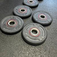 Dischi 1,25kg decathlon